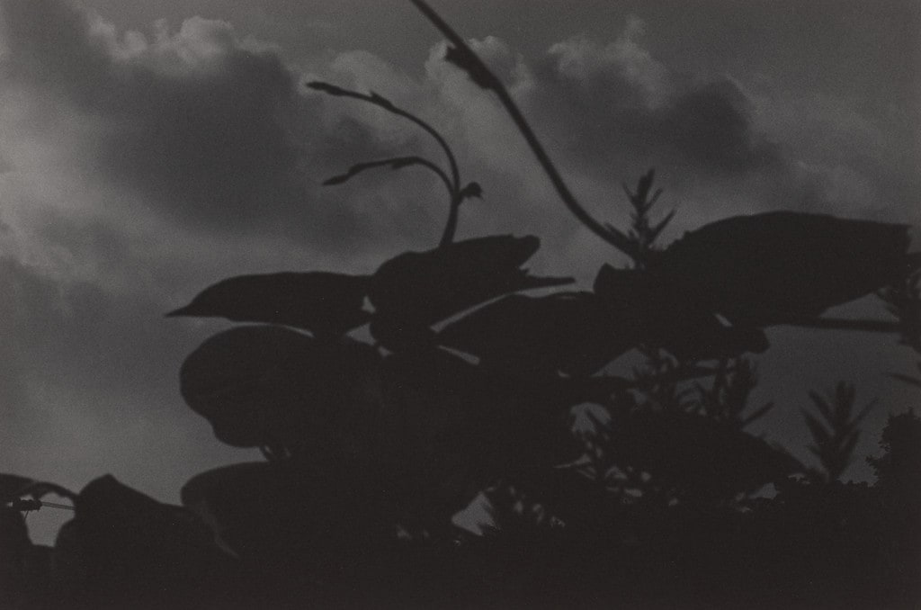Untitled (Yokohama, Japan)