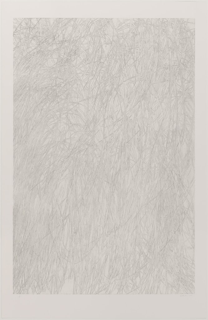 Untitled (grass)