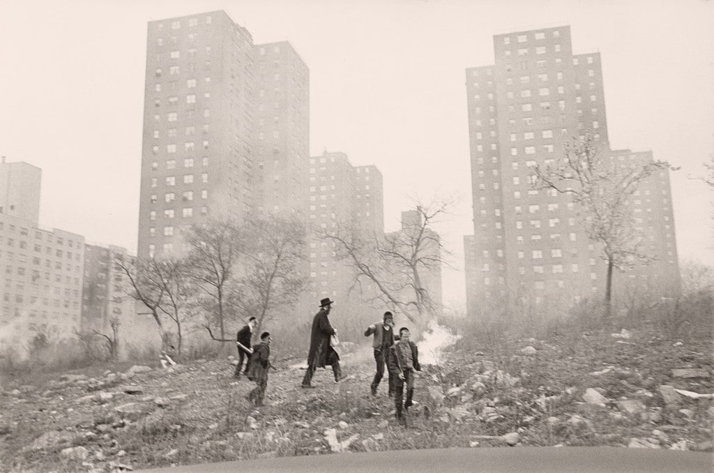 Burning Bread at Passover, Brooklyn