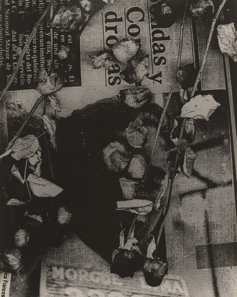 Elegy of Milk (An Offering to Sarita Colonia)