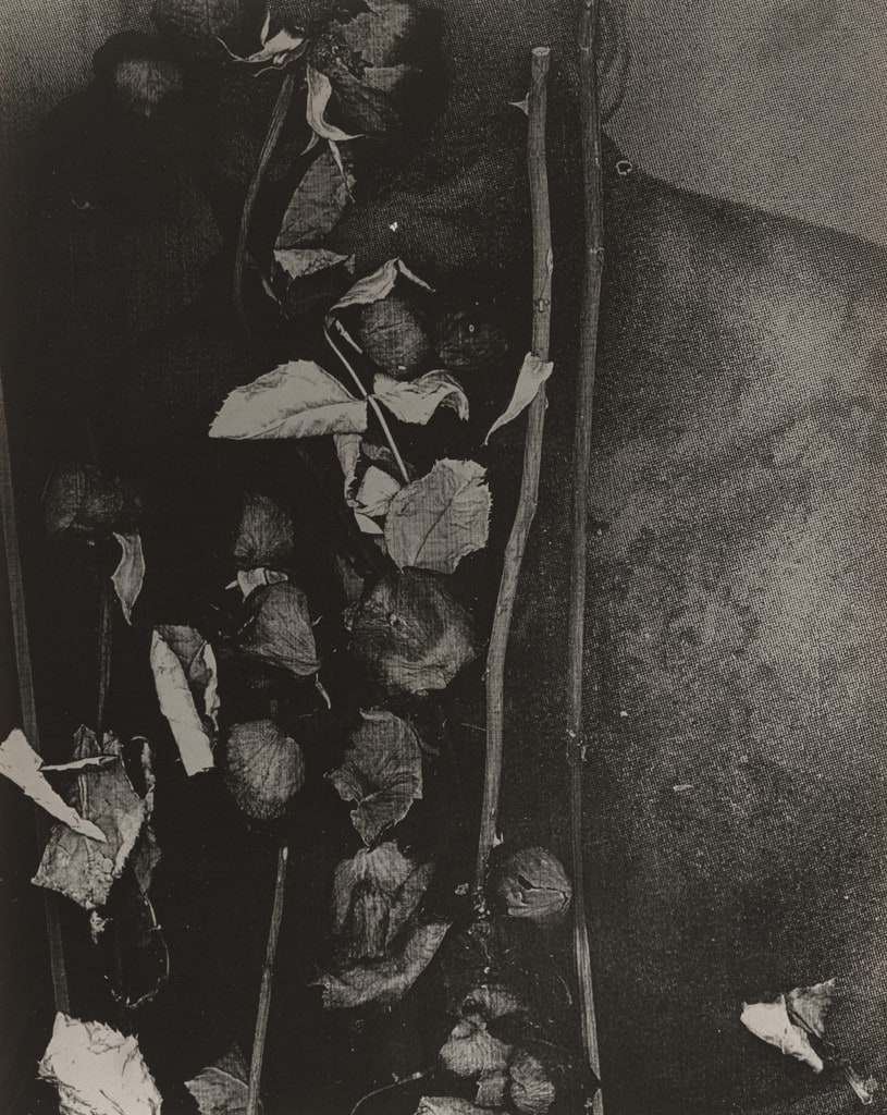 Elegy of Milk (An Offering to the Father)
