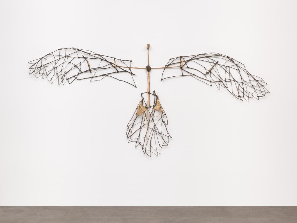 Bird that Flies over America