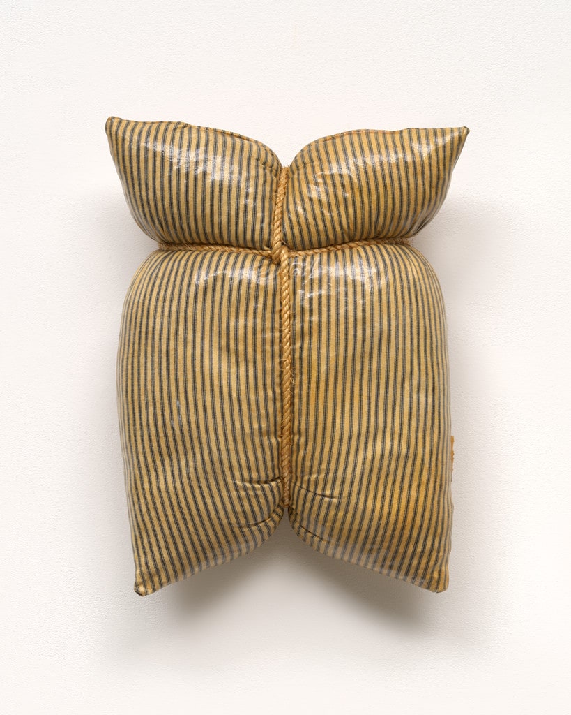 Untitled Pillow