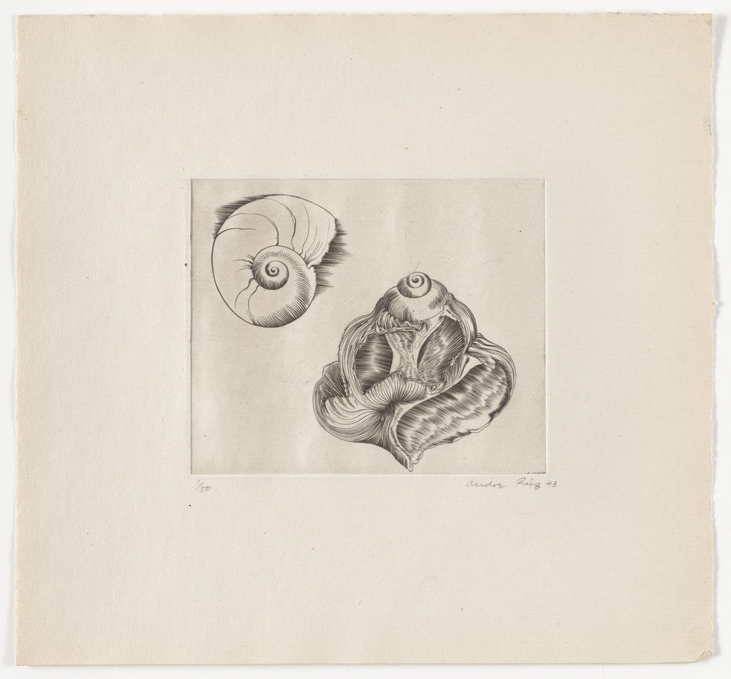 Untitled from The Flowering Rock
