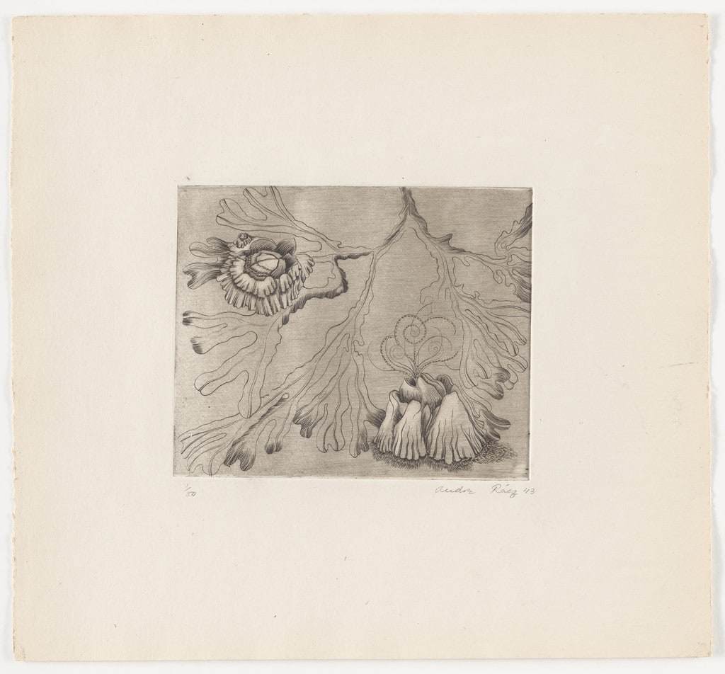 Untitled from The Flowering Rock