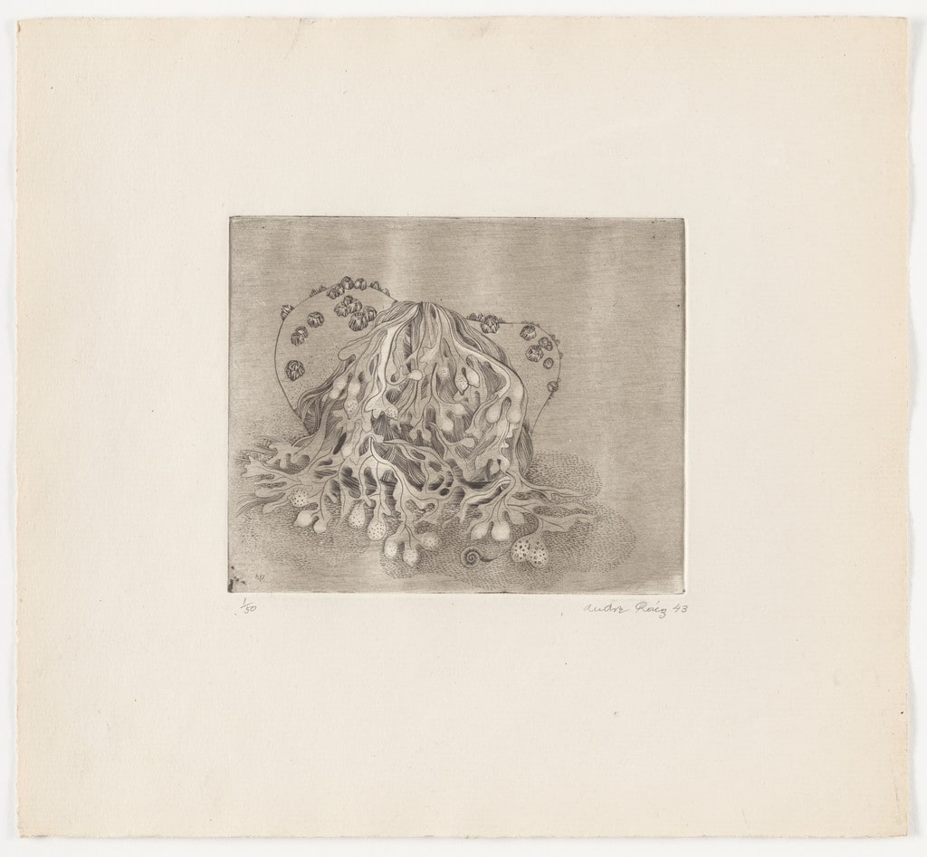 Untitled from The Flowering Rock