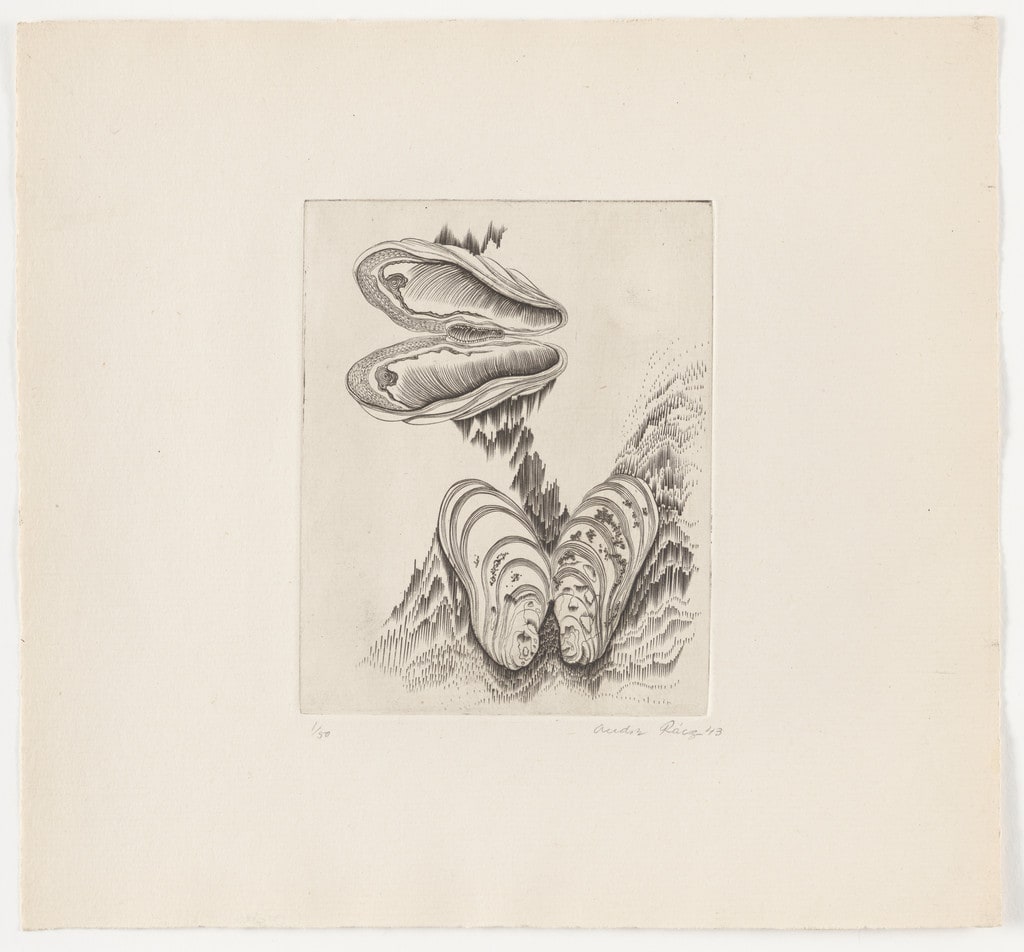 Untitled from The Flowering Rock