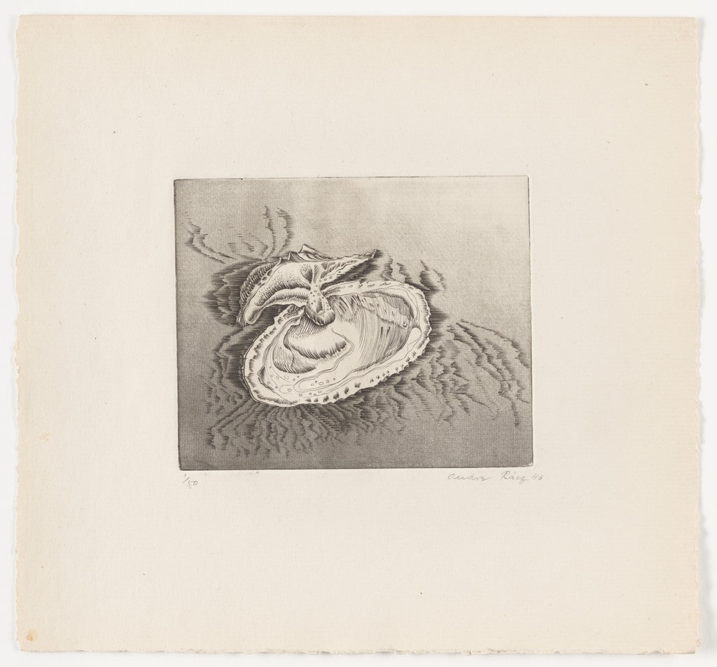 Untitled from The Flowering Rock