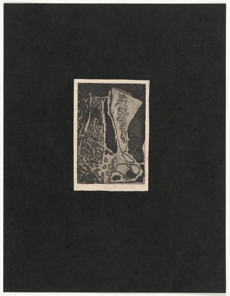 Untitled from 15 Original Etchings/Serigraphs