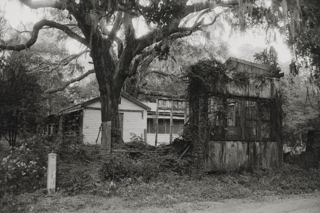 An Old Fallen House next to a Moss-Draped Tree, Daufuskie Island, South Carolina