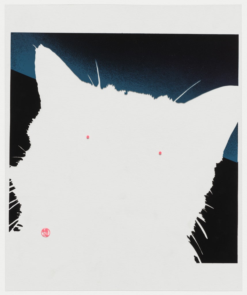 A Cat from an untitled portfolio