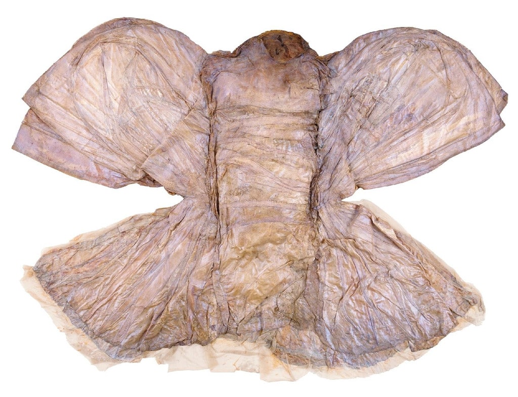 Dragonfly Joy (Costume)