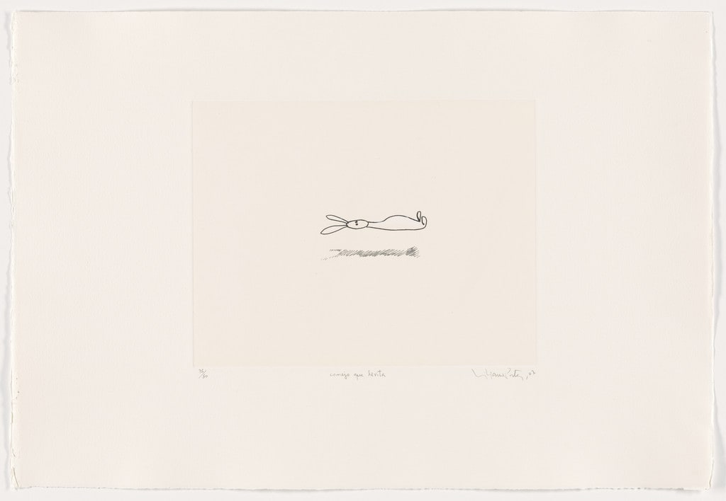 Conejo que Levita (Levitating Rabbit)