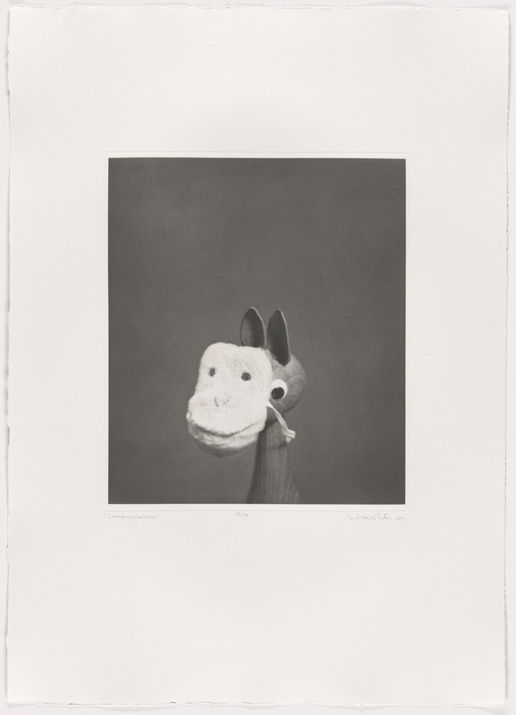Canguro / Mono
