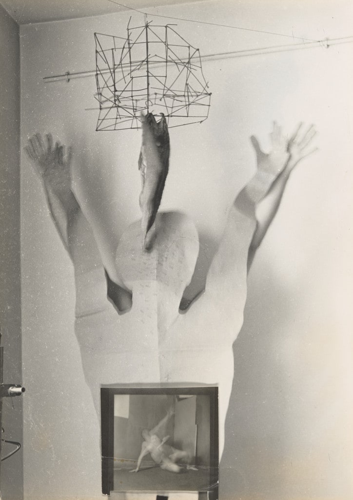 Moving Body with Shadow and Fish