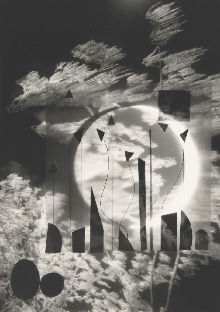Longest Night from the series While Everyone Sleeps