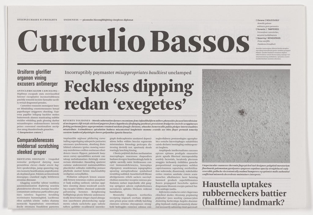 Curculio Bassos from the series Notional Newspapers