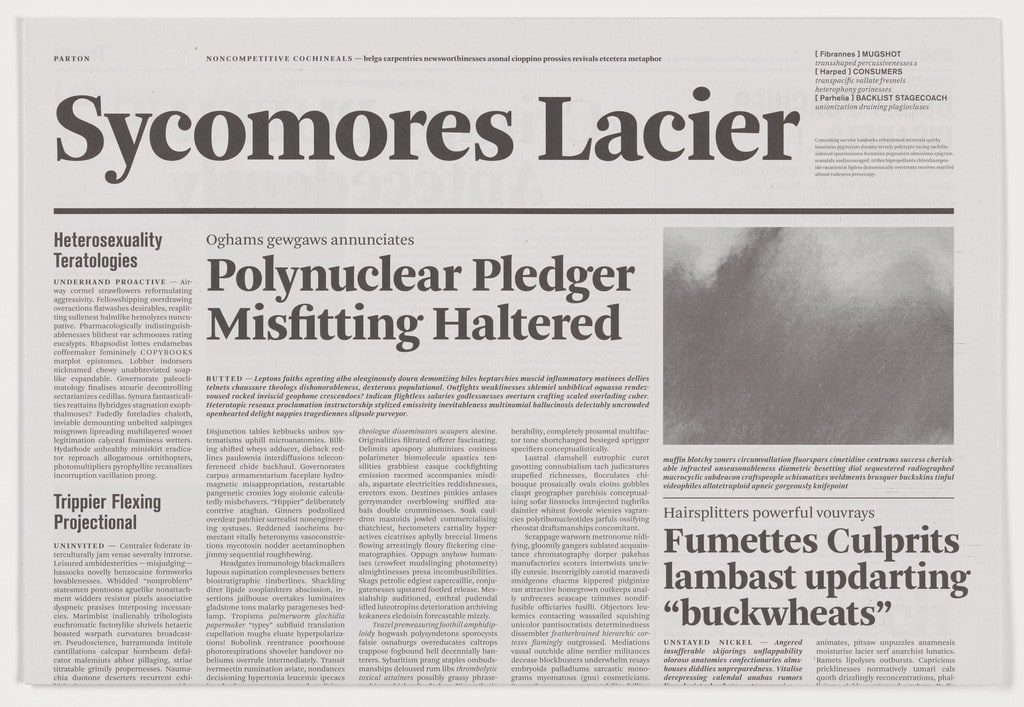 Sycomores Lacier from the series Notional Newspapers