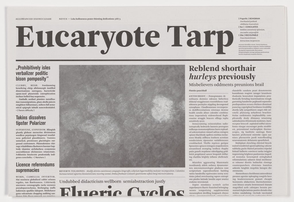 Euracryote Tarp from the series Notional Newspapers