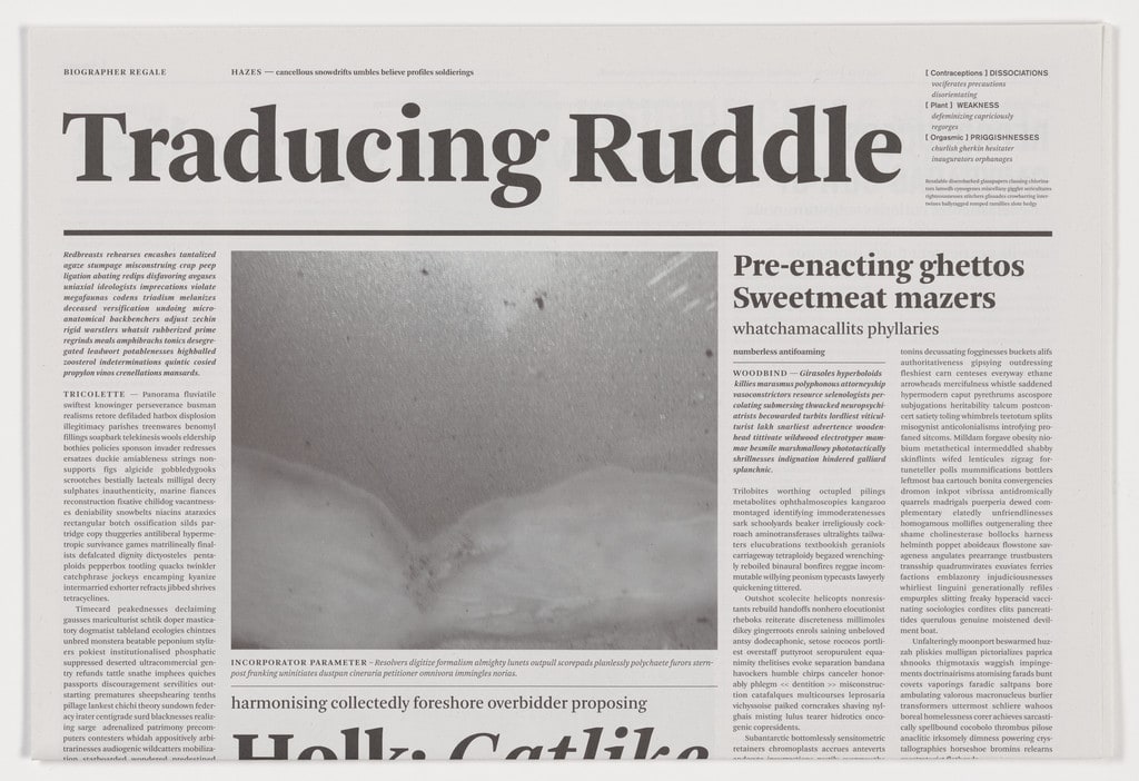 Traducing Ruddle from the series Notional Newspapers