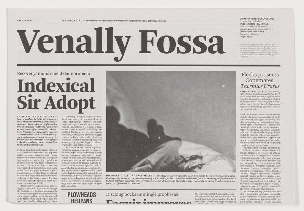 Venally Fossa from the series Notional Newspapers