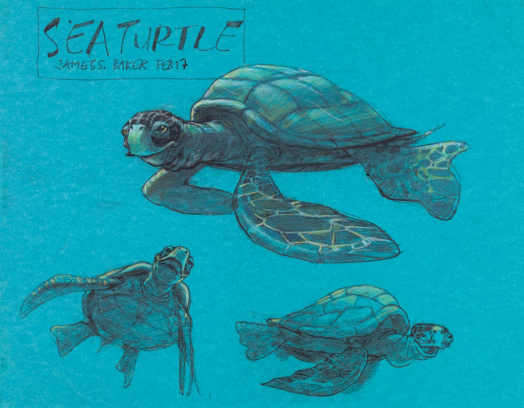 Concept Art, Turtles, Finding Nemo, 2003