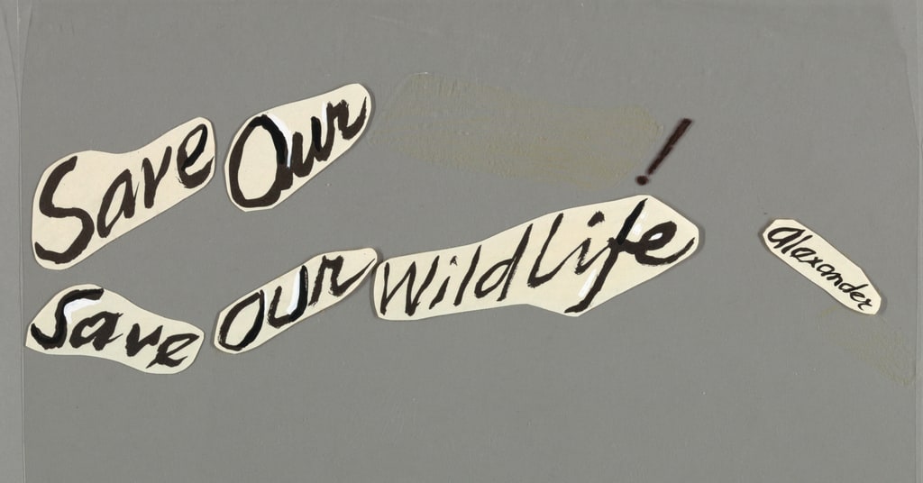 Maquette, Save our Wildlife