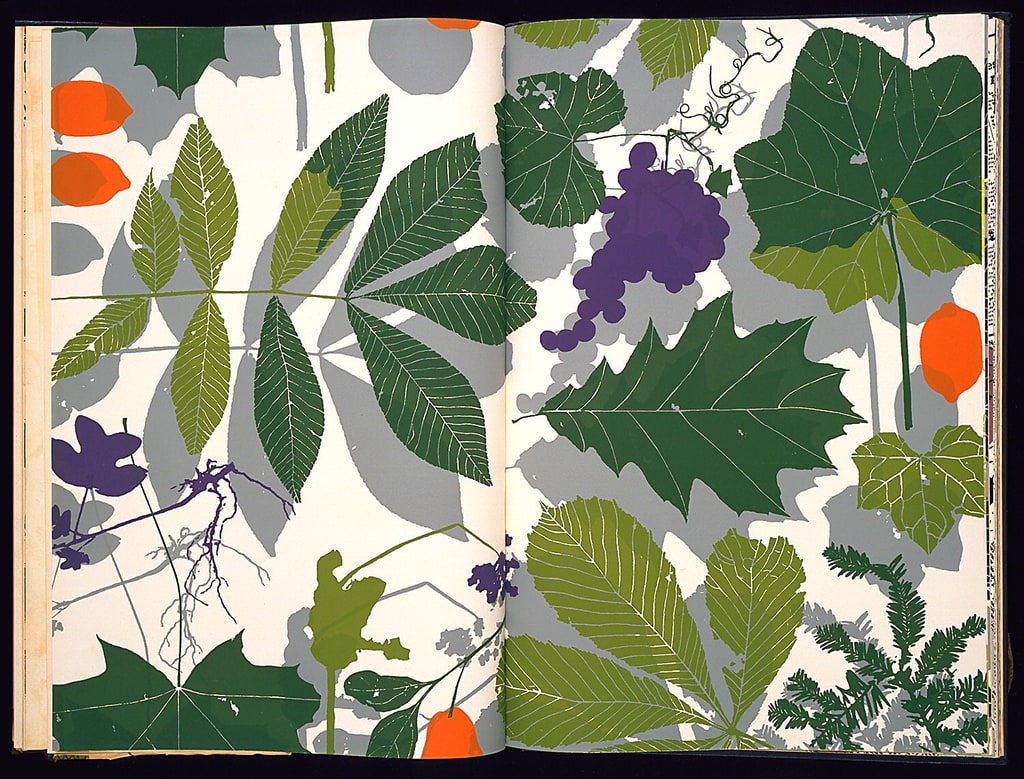 Sample Book, Encore Selection, 1950–51
