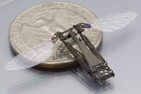 Robobee (USA), August 2012