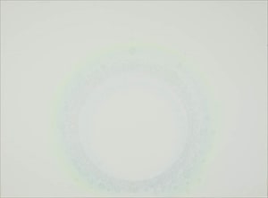 Ring 57