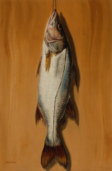 Sergeant Fish, Robalo