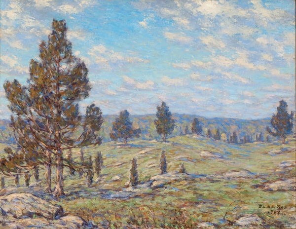Cedar Lot