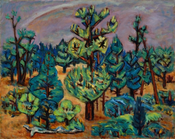 Pines in Bloom