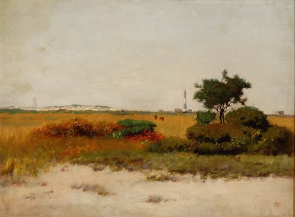 Autumn Sand Dunes
