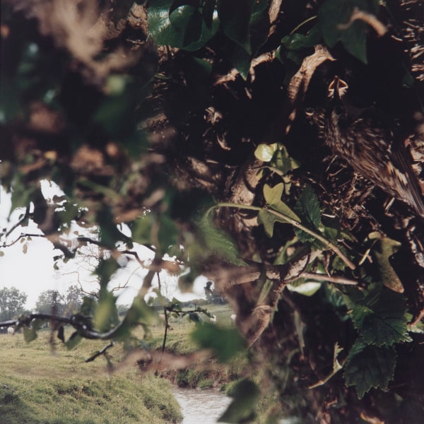 No. 51, Juillet-Août, 1980