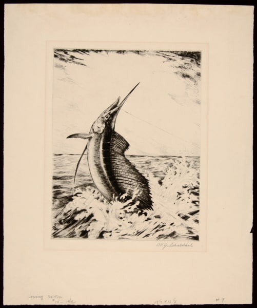 Leaping Sailfish