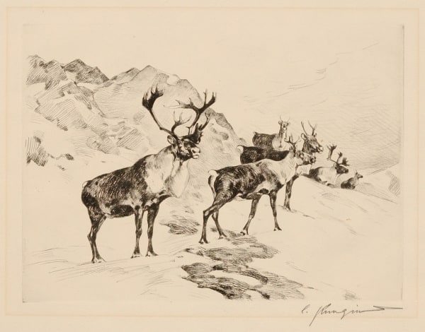 Osborne Caribou