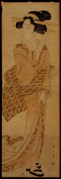 Courtesan with "Weave" Pattern Obi