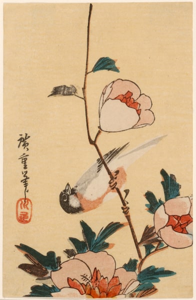 Finch and Flowers