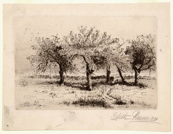 Untitled (Orchard)