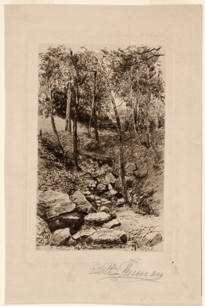 At Cedar Bridge, Bronx River