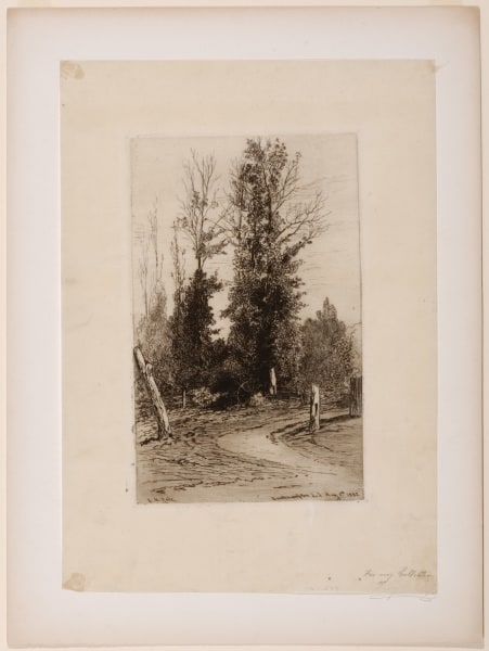 Poplars at Southampton, L.I.