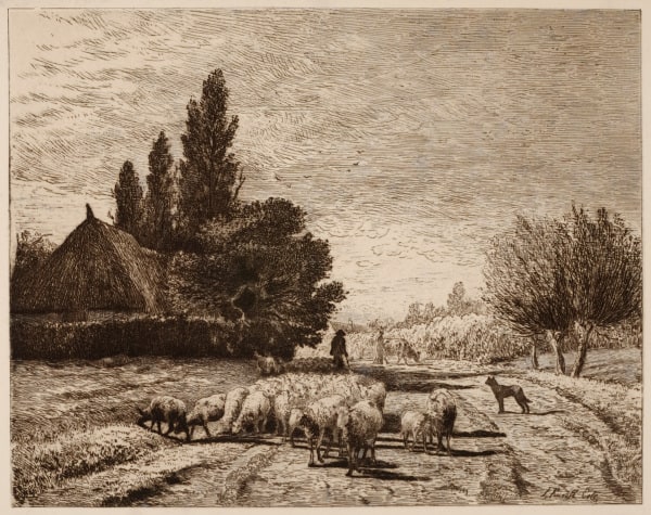 Village Street in France with a Flock of Sheep