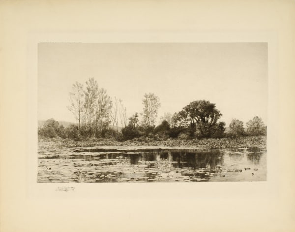 Untitled (Lake scenes with lily pads)