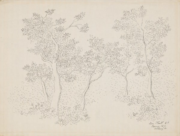 Landscape, Albany County