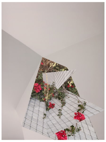 BE20_362 (From the Series, As Birdsongs Emerge)