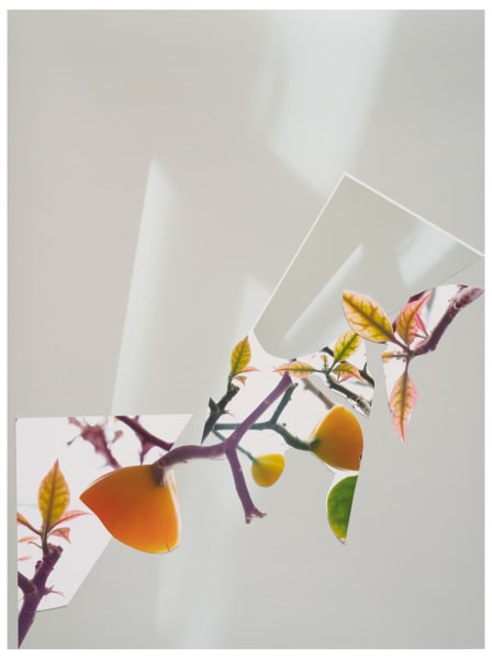 BE20_357 (From the Series, As Birdsongs Emerge)