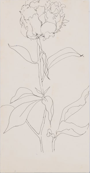 Untitled (OP 50-149)