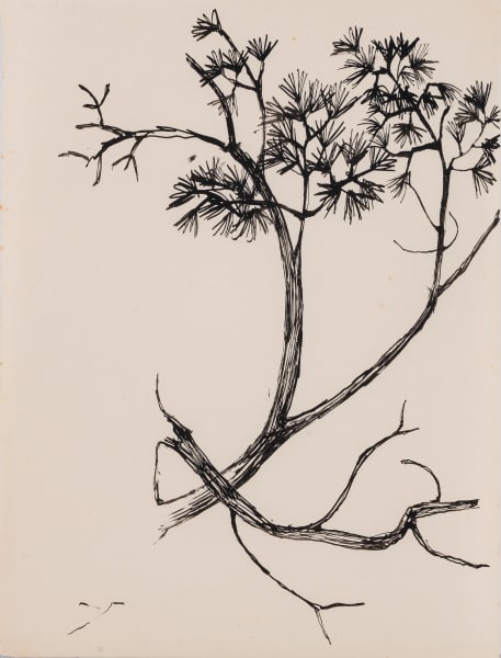 Untitled (OP 50-143)