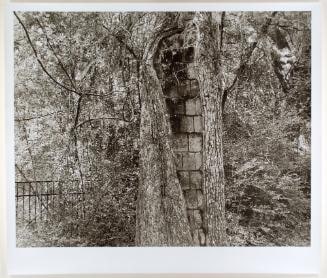 Ackland Art Museum